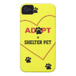 Adopt a Shelter Pet