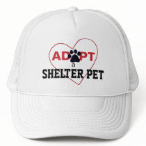 Adopt a Shelter Pet
