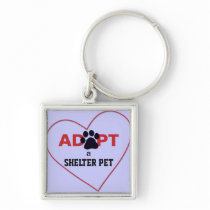 Adopt a Shelter Pet