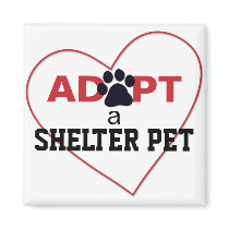 Adopt a Shelter Pet