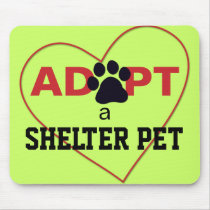Adopt a Shelter Pet
