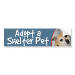 Adopt a Shelter Pet -  Pitbull Bumper Sticker