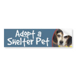 Adopt a Shelter Pet Sad Beagle Bumper Stickers