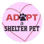 Adopt a Shelter Pet