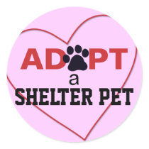 Adopt a Shelter Pet