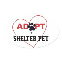 Adopt a Shelter Pet