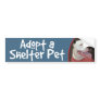 Adopt a Shelter Pet-White Pitbull Bumper Sticker