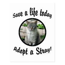 Adopt A Stray Postcard