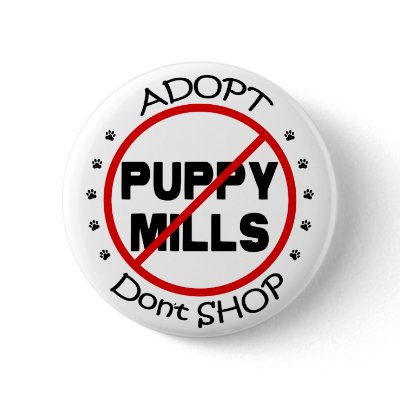 Adopt Don't Shop Button by AtlantianKing