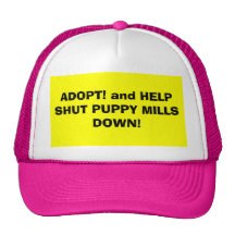 ADOPT! HAT