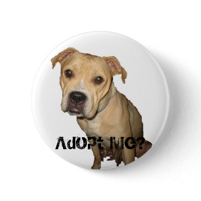 Adopt Me? button by rescueadog