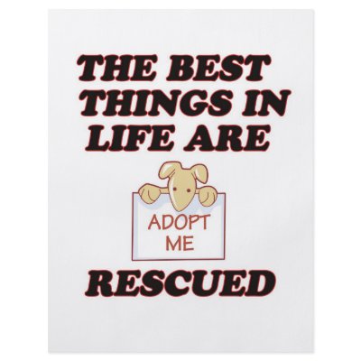 ADOPT ME by cheriverymery