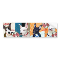 Adopt Me... Me... Me!!! Bumper Sticker