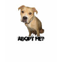 Adopt me tshirt
