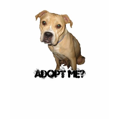 Adopt me tshirt by rescueadog