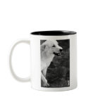 ADOPT MUGS