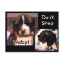 Adopt ! Postcards