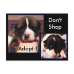Adopt ! Postcards