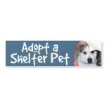 Adopt Shelter Pet-Pitbull/Yellow Lab BumperSticker