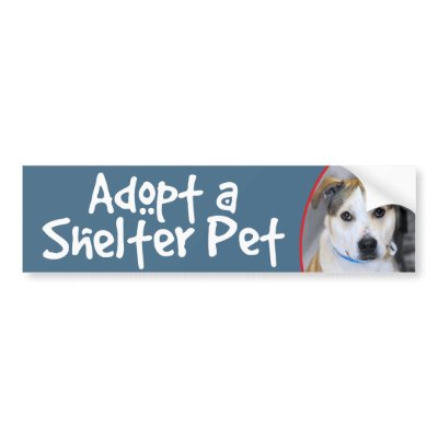 Adopt Shelter Pet-Pitbull/Yellow Lab BumperSticker by FCACshelter