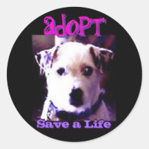 Adopt Sticker