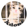 Adopt Stickers