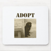 Adopt stray dog mouse mats