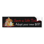 Adopt Your New BFF! Bumper Sticker