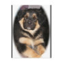 adoptable_GSD_mix Postcards