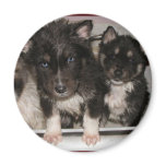 Adoptable  puppies Magnet #8