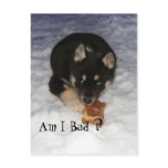 Adopted Dogs postcards