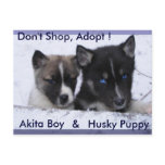 Adopted Dogs postcards