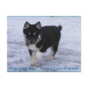 Adopted Dogs postcards
