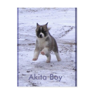 Adopted Dogs Postcard by Petcetera