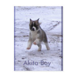 Adopted Dogs Postcard