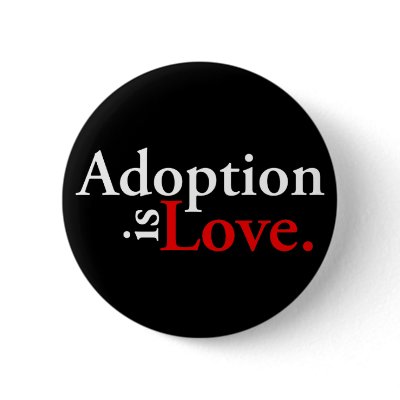 Adoption Is Love Pins by babyfactory