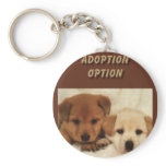 Adoption Option Keychain