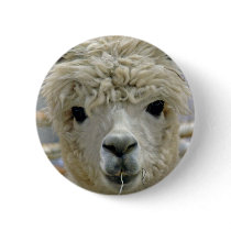 Adorable Alpaca Button