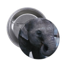 Adorable Baby Elephant Button