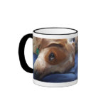 Adorable Beagle Mix mugs