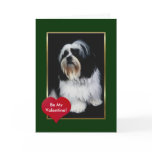 Adorable black and white long haired dog cards