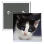 Adorable BW Kitten Button