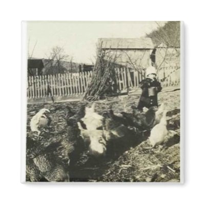 Adorable child feeding chickens magnet by amazingvintage