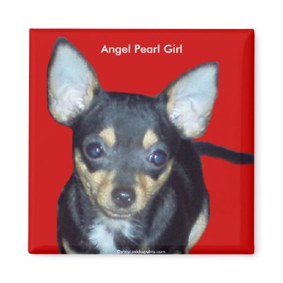 Adorable Cute Baby Chihuahua Angel Pearl Girl Fridge Magnets by LoveIsChihuahua