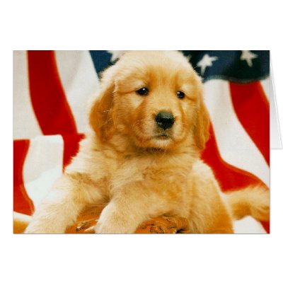 Adorable Dog Photography Cards, Gifts - Customise by designsbydandy