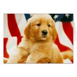 Adorable Dog Photography Cards, Gifts - Customise