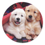 Adorable Dog Photography Cards, Gifts - Customise stickers