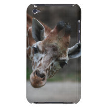 Adorable Giraffe iTouch Case Case-Mate iPod Touch Case