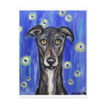 Adorable Greyhound portrait postcards