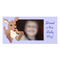 Adorable Kangaroo photo cards